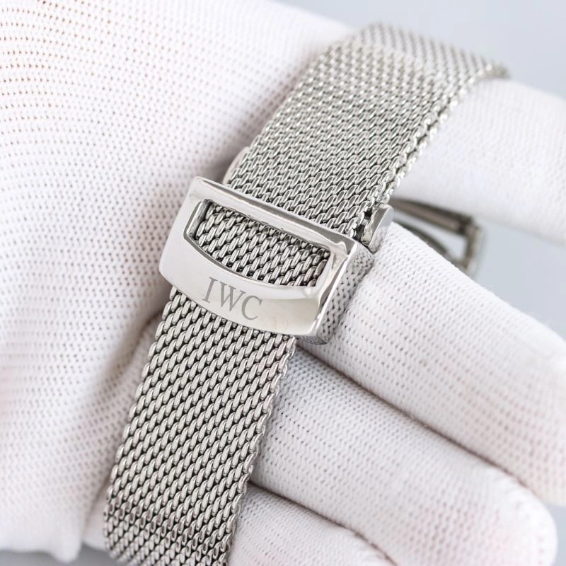 IWC Watches Practical 185185