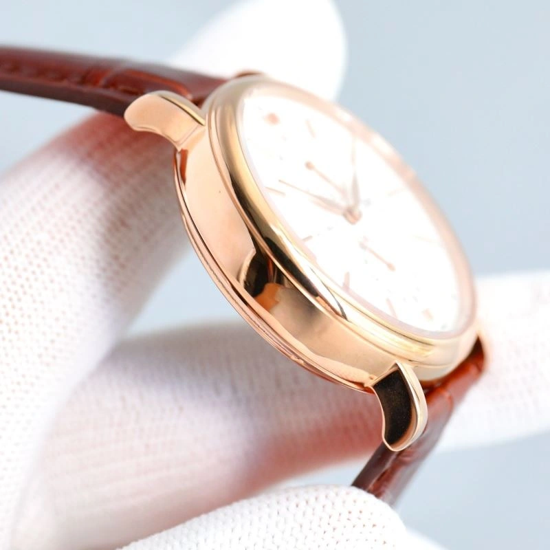 FlexibleFit IWC Watches 185162