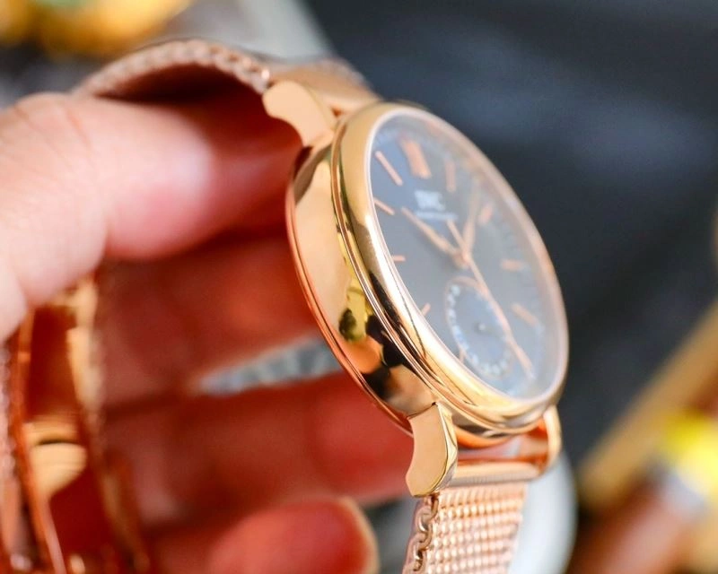 IWC Watches WeatherProof 185168
