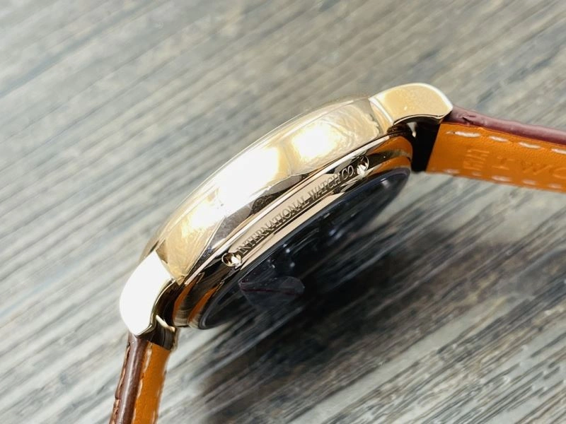 IWC Watches WrinkleFree 185148