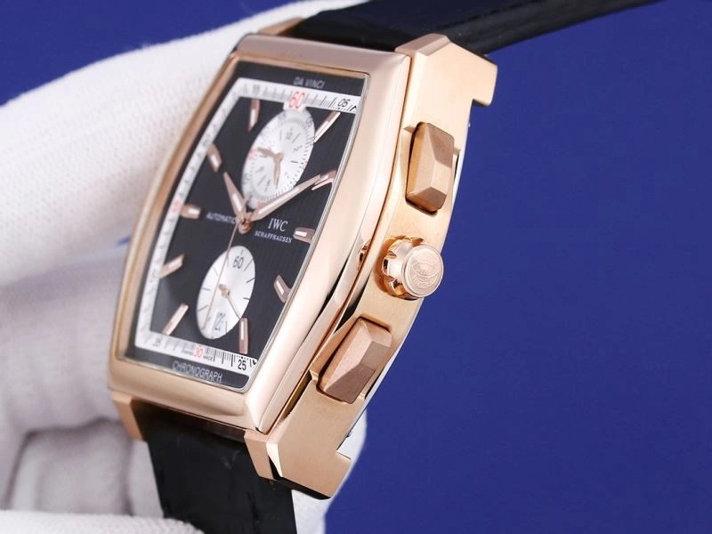 IWC Watches Practical 185139