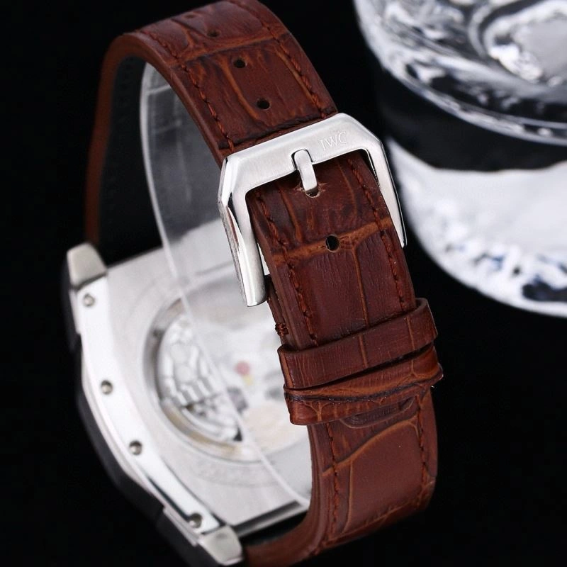 EasyCare IWC Watches 185100