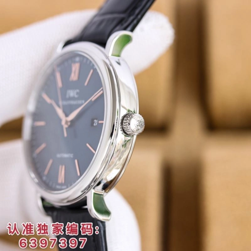IWC Watches Sophisticated 185105