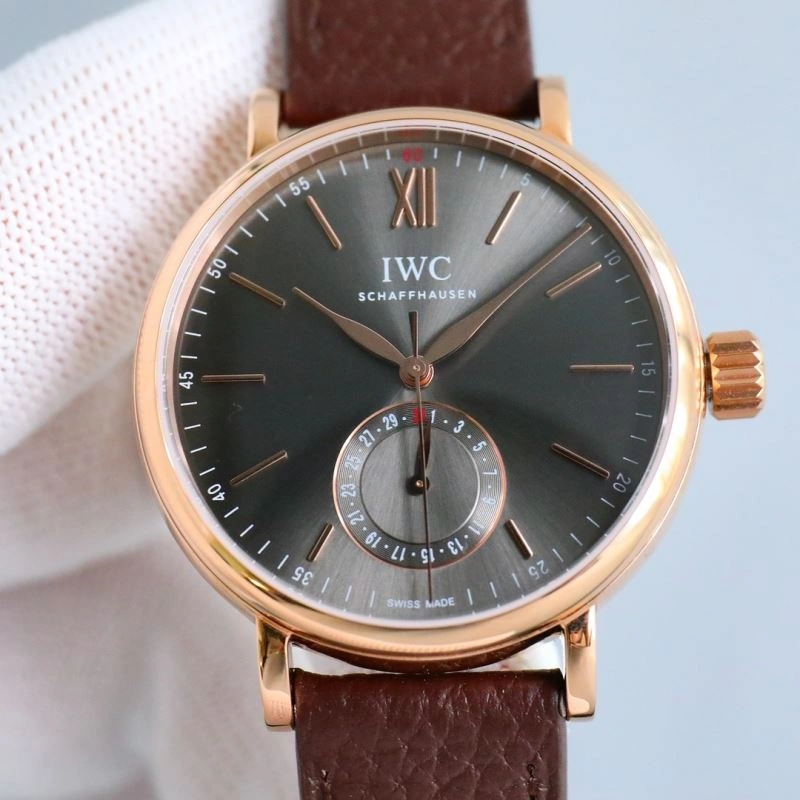 IWC Watches DailyWear 185123