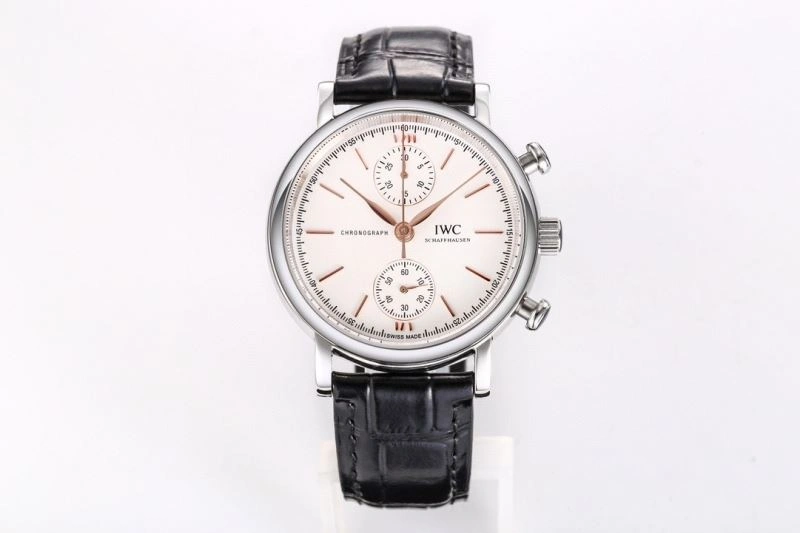 IWC Watches TimelessDesign 185117