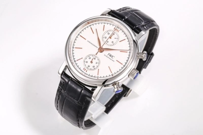 IWC Watches TimelessDesign 185117