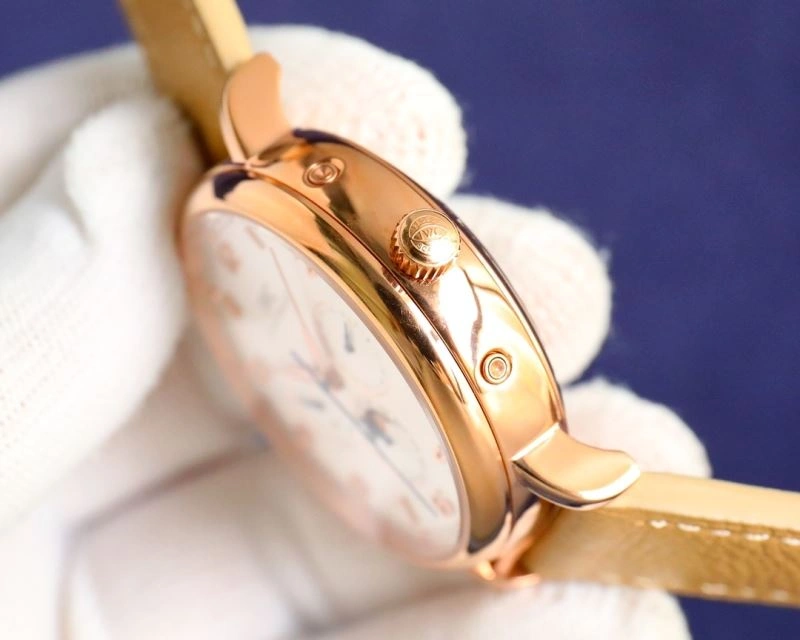 Flexible IWC Watches 185060