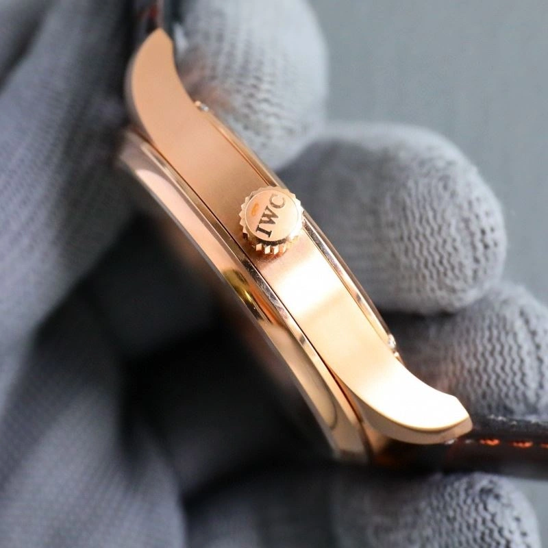 IWC Watches Timeless 185051