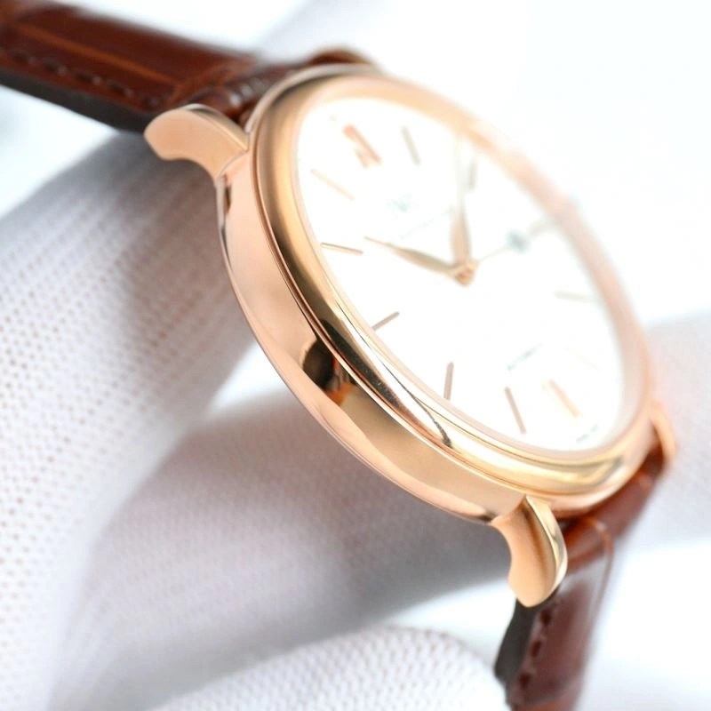 IWC Watches Versatile 185045