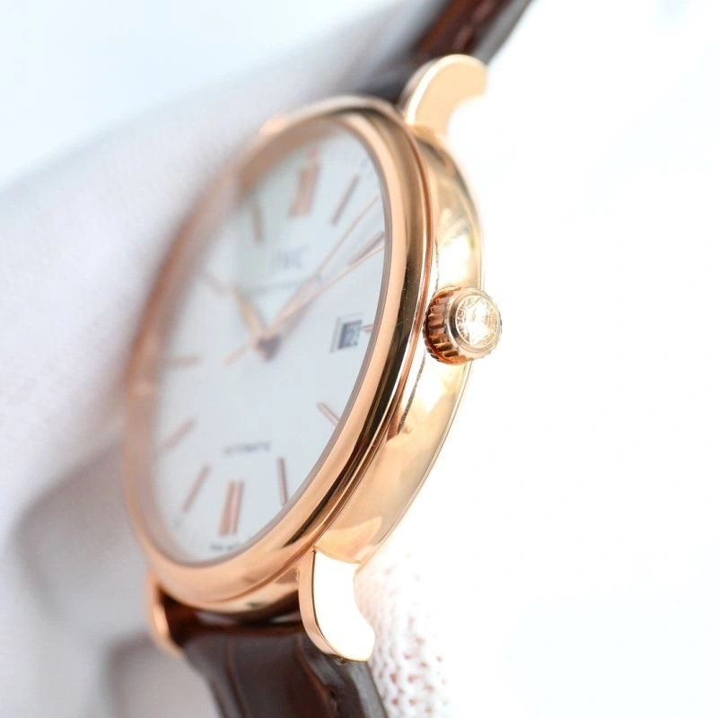 IWC Watches Versatile 185045