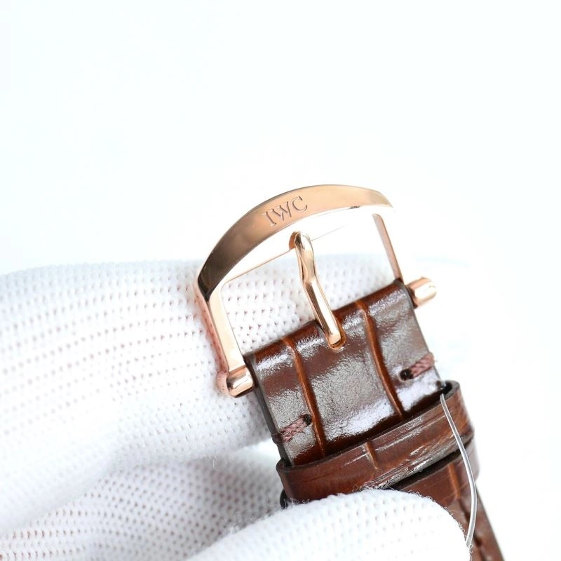 IWC Watches Versatile 185045
