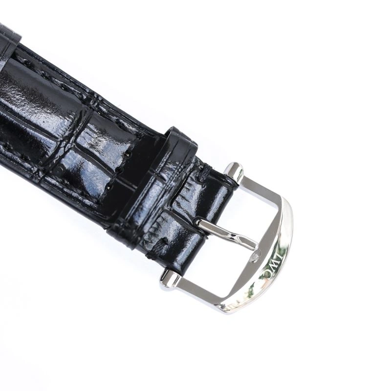IWC Watches Efficient 185002