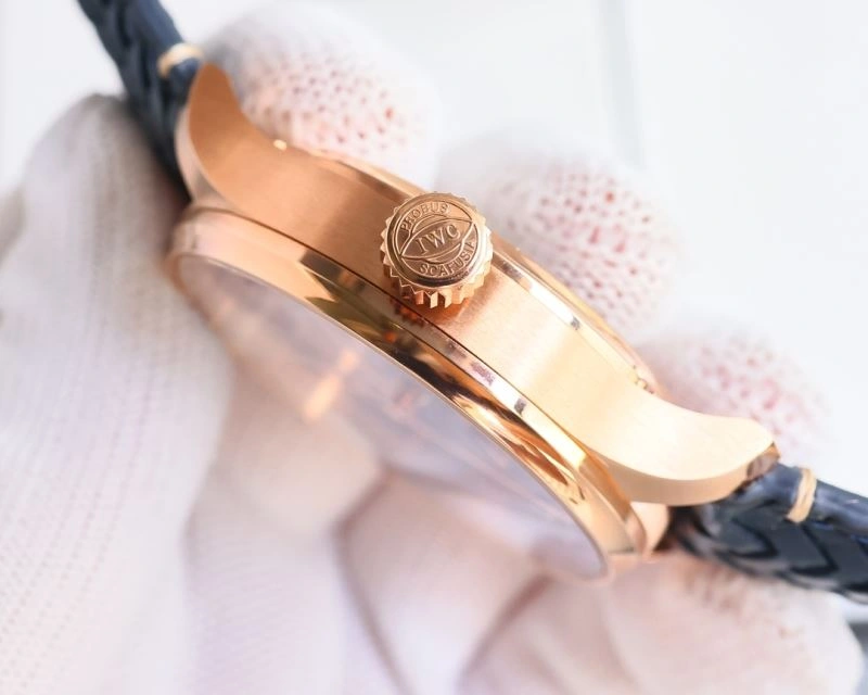 IWC Watches SunProtective 184848