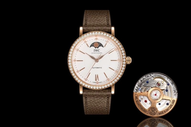 IWC Watches Elegant 184858