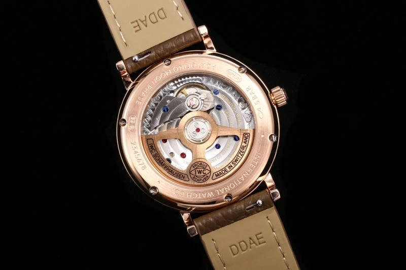 IWC Watches Elegant 184858