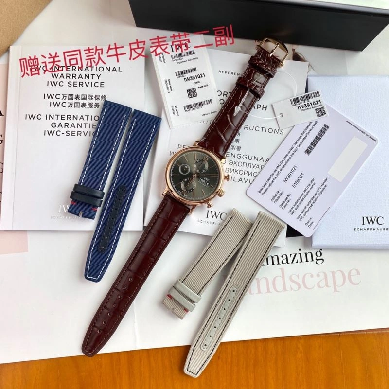 Trendsetting IWC Watches 184846