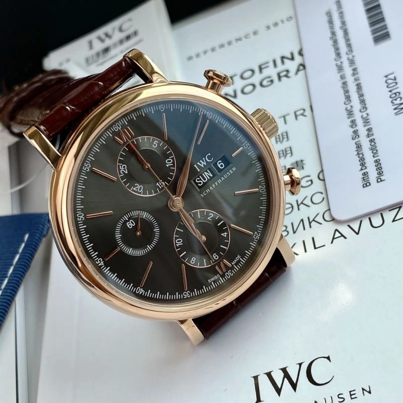 Trendsetting IWC Watches 184846