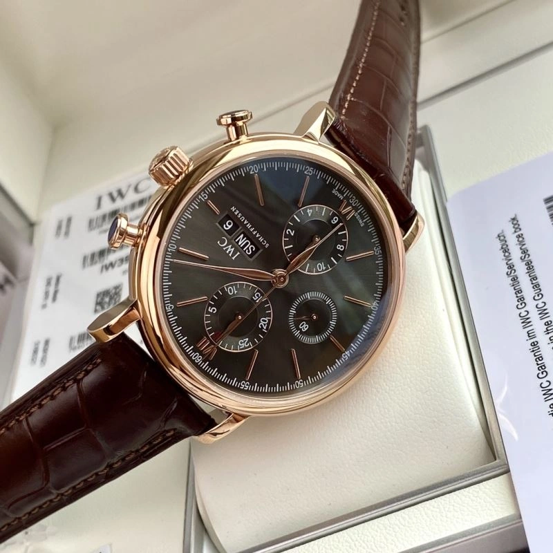 Trendsetting IWC Watches 184846