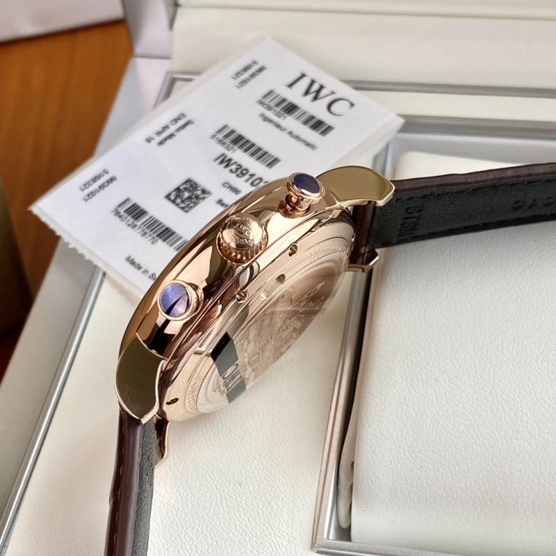Trendsetting IWC Watches 184846