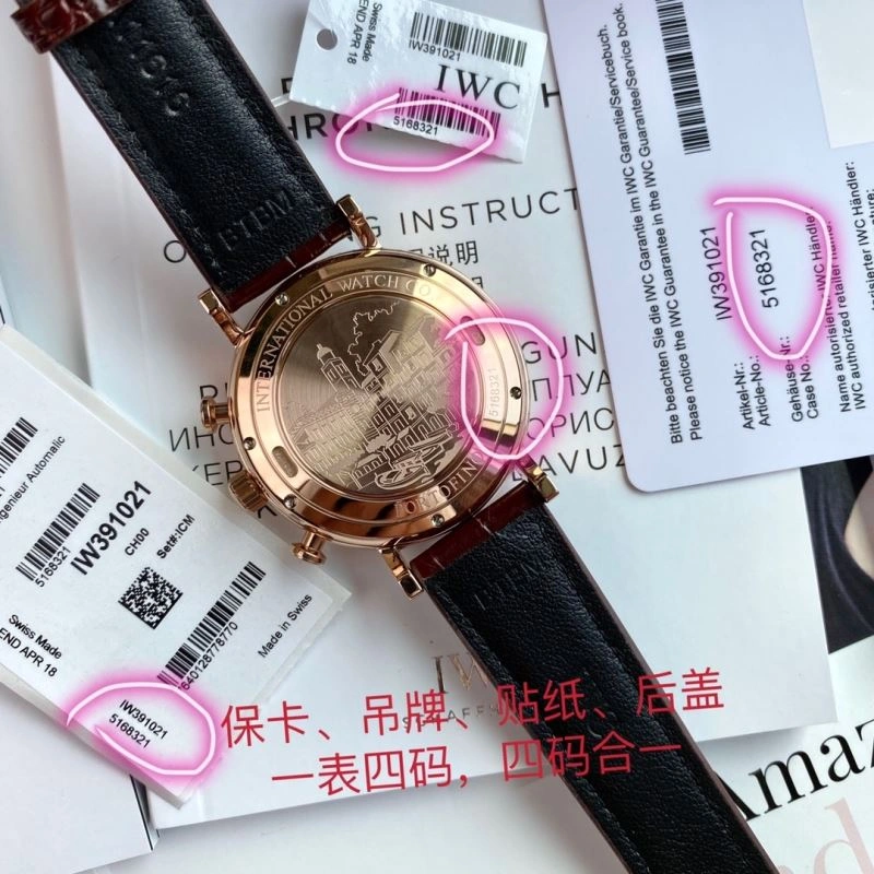 Trendsetting IWC Watches 184846
