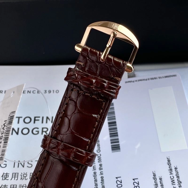 Trendsetting IWC Watches 184846