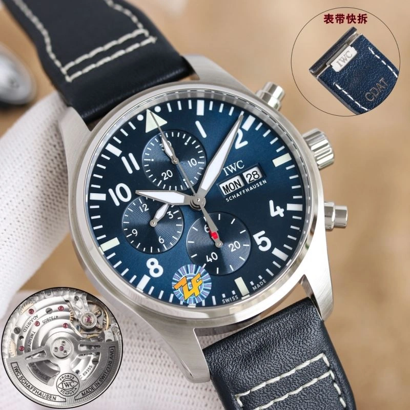 Unique IWC Watches 184836