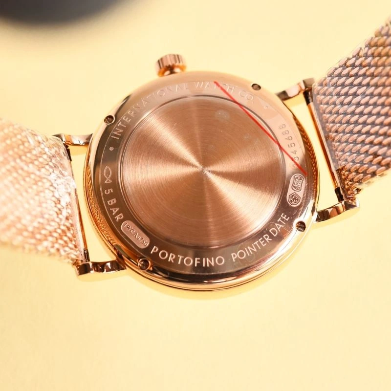 IWC Watches Minimalist 184834