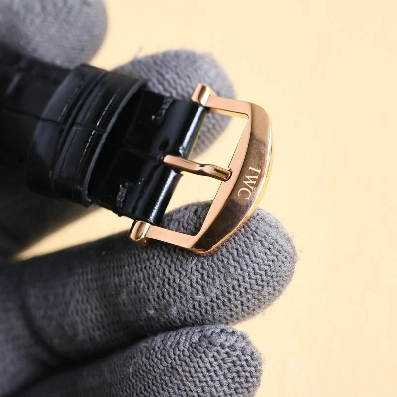 IWC Watches Bold 184818