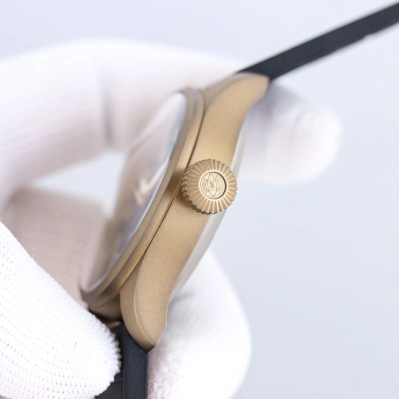 IWC Watches Stretchable 184831