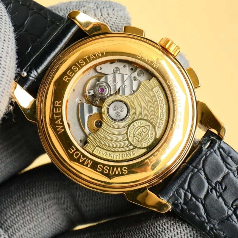 IWC Watches Sleek 184821