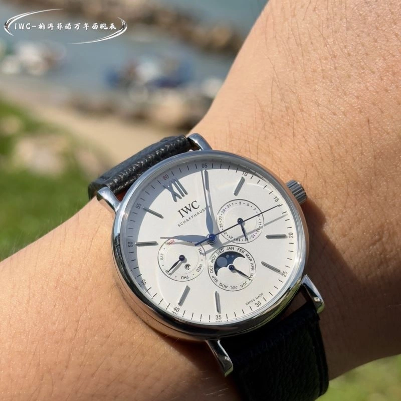 MultiPurpose IWC Watches 184771
