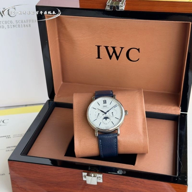 Contemporary IWC Watches 184778