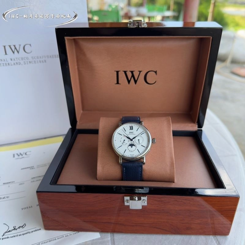 Contemporary IWC Watches 184778