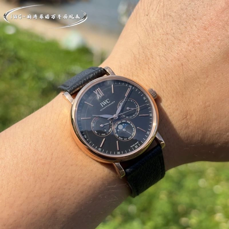 IWC Watches MultiPurpose 184768