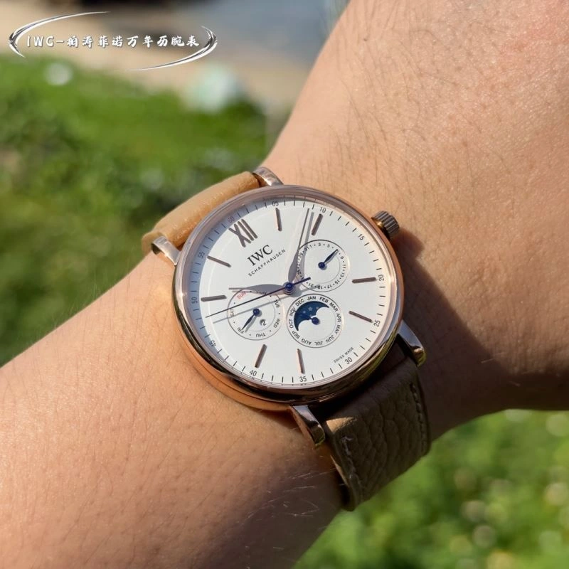 IWC Watches MultiPurpose 184768