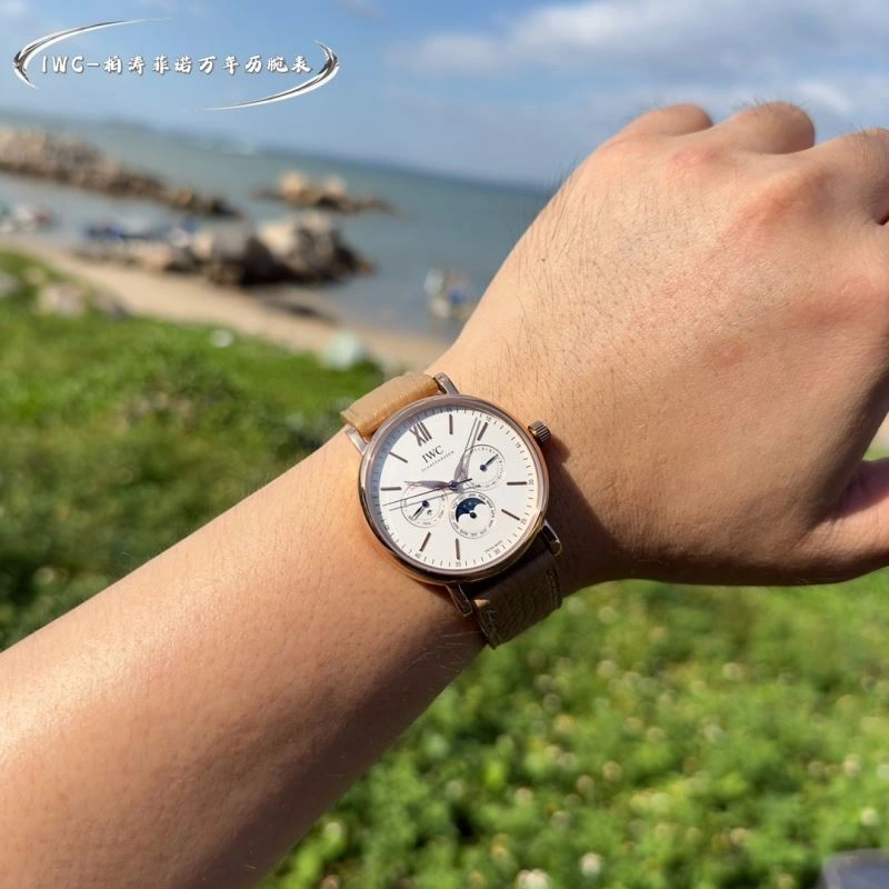 IWC Watches MultiPurpose 184768