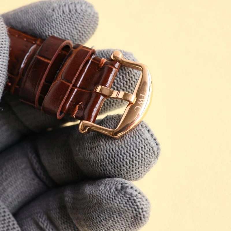 IWC Watches Upgraded 184789