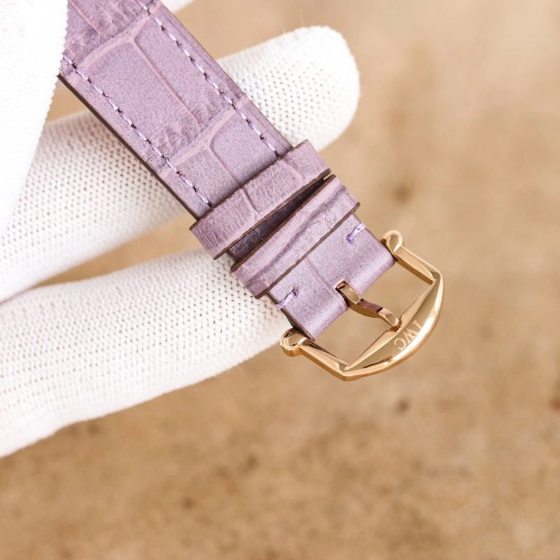 Seasonal IWC Watches 184756