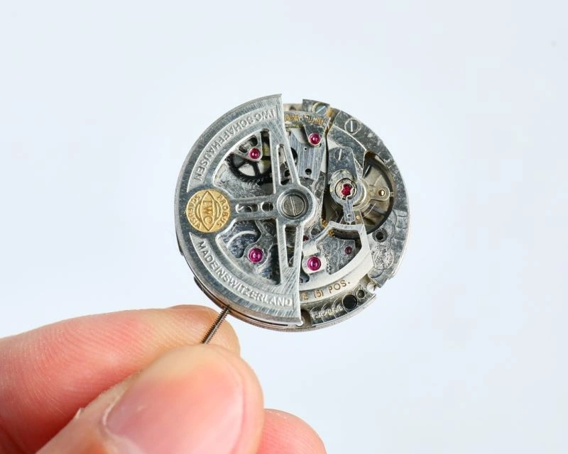 Versatile IWC Watches 184744