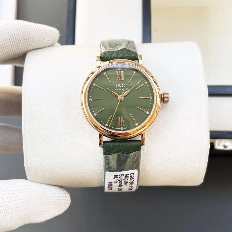 TechFriendly IWC Watches 184716
