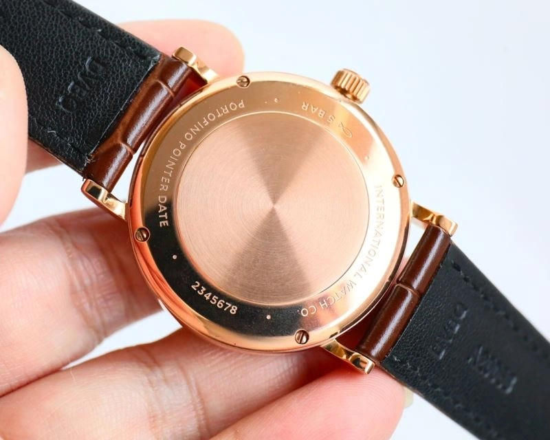 Seasonal IWC Watches 184683