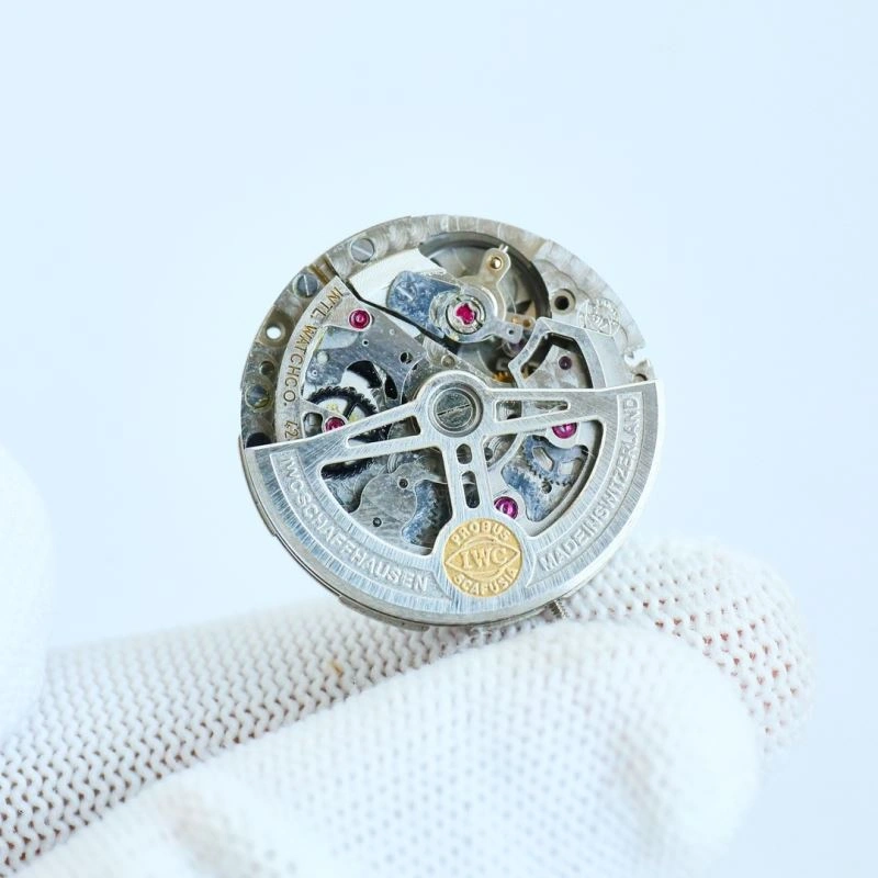 GoAnywhere IWC Watches 184703
