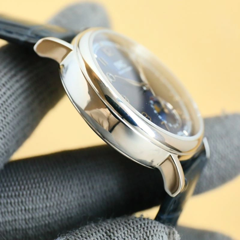 IWC Watches Supportive 184697