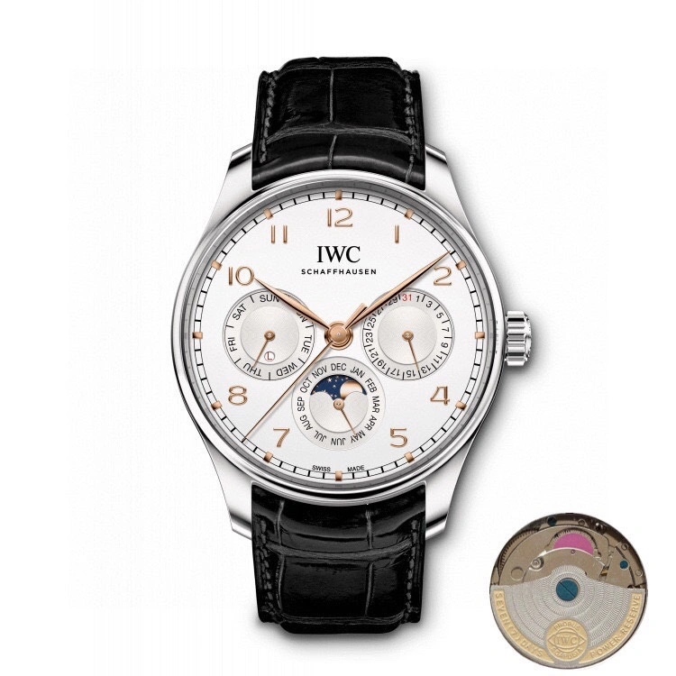 IWC Watches WeatherProof 184673