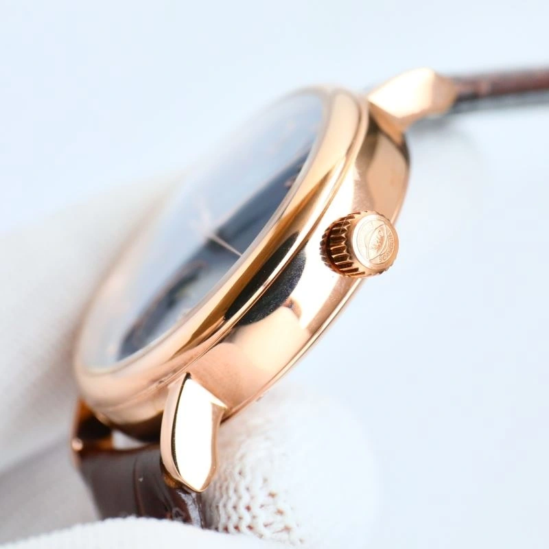 IWC Watches Affordable 184665