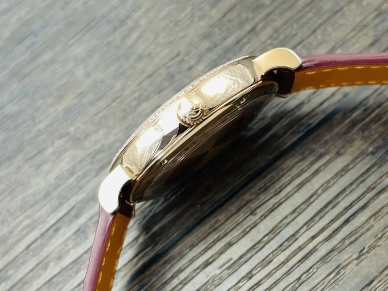 IWC Watches Colorful 184648