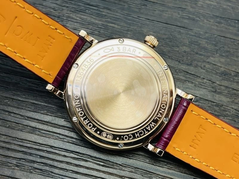 IWC Watches Colorful 184648