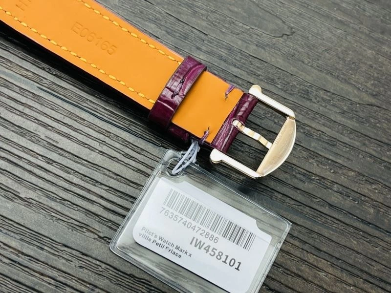 IWC Watches Colorful 184648