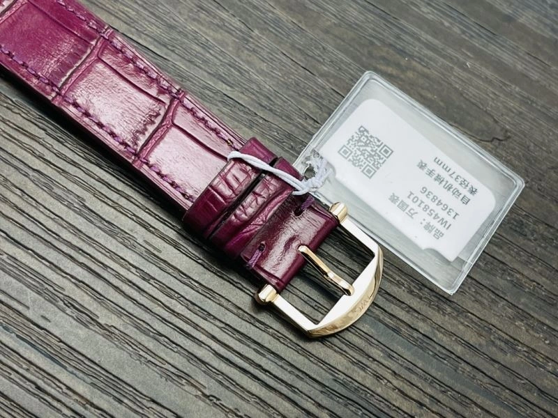 IWC Watches Colorful 184648