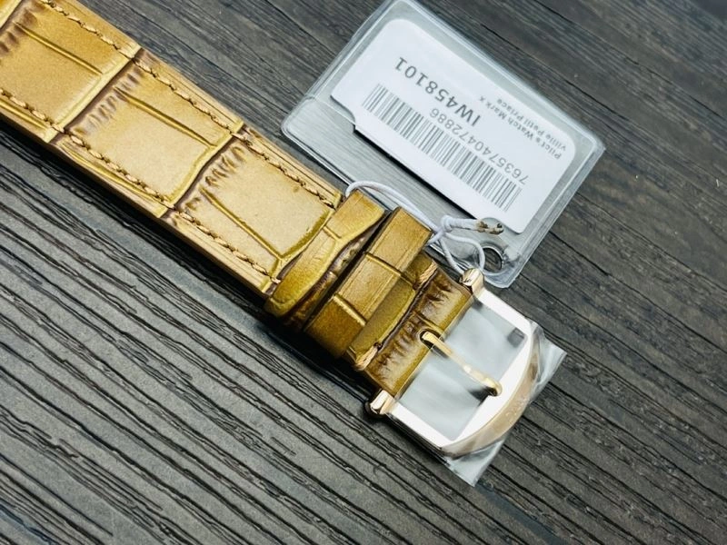 IWC Watches EasyMatch 184647